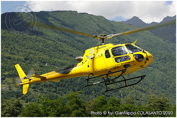 ilmoa-gfc-2002-wall-600
