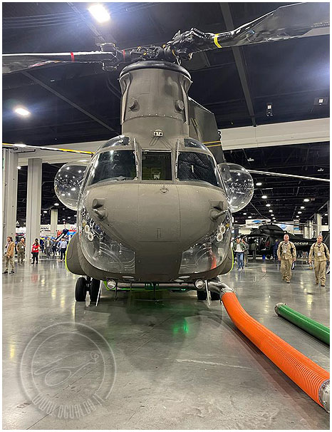 chinook